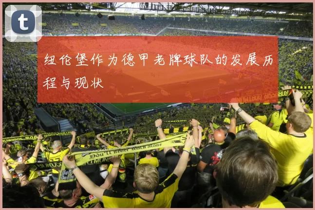 纽伦堡作为德甲老牌球队的发展历程与现状