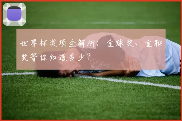 世界杯奖项全解析:金球奖、金靴奖等你知道多少?
