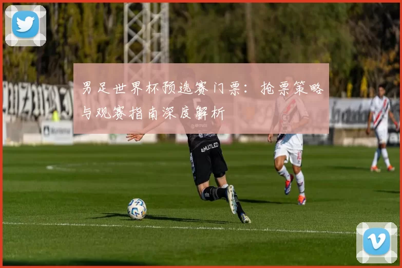 男足世界杯预选赛门票：抢票策略与观赛指南深度解析