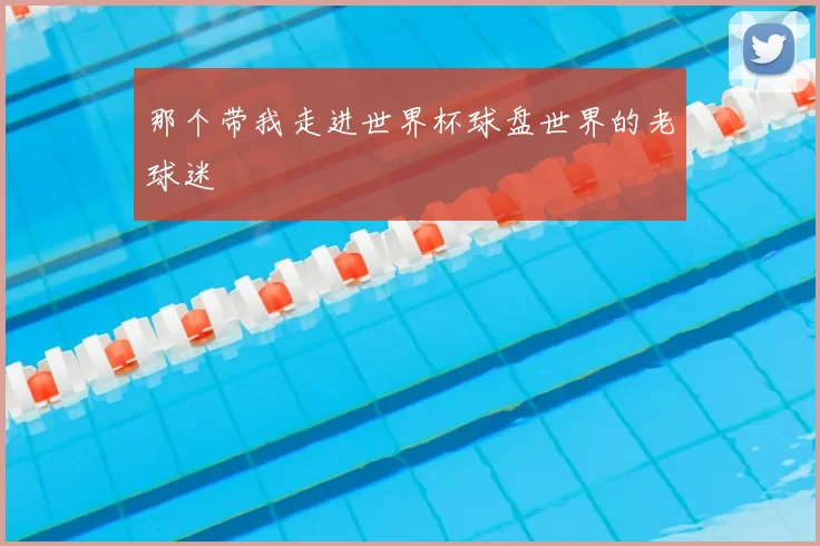 那个带我走进世界杯球盘世界的老球迷