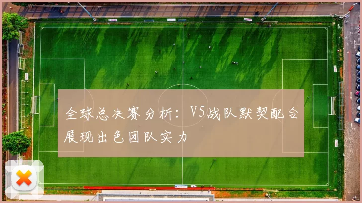 全球总决赛分析：V5战队默契配合展现出色团队实力