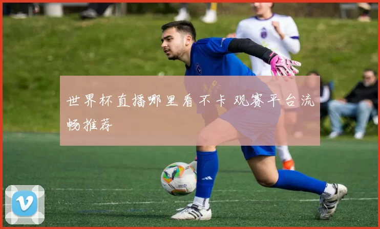 世界杯直播哪里看不卡 观赛平台流畅推荐