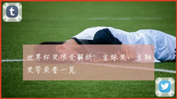 世界杯奖项全解析：金球奖、金靴奖等荣誉一览