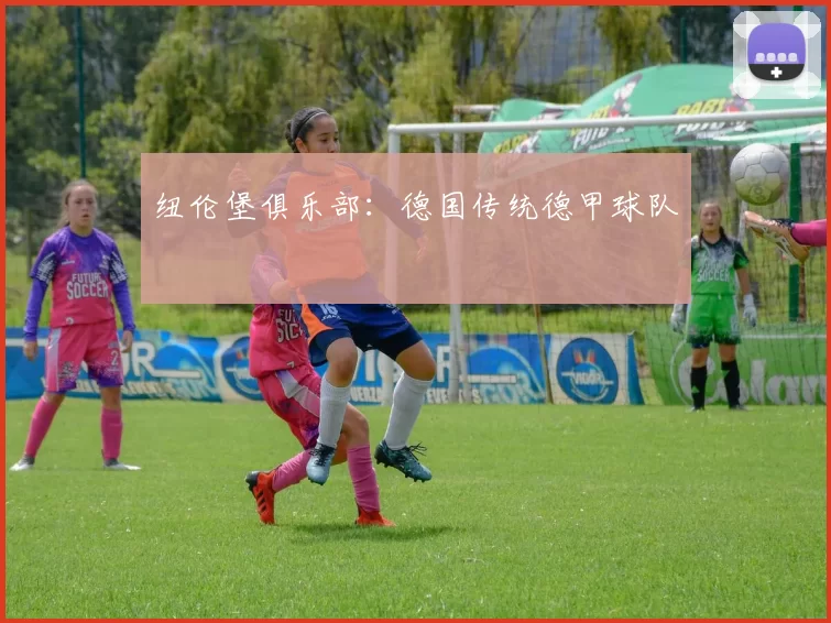 纽伦堡俱乐部:德国传统德甲球队
