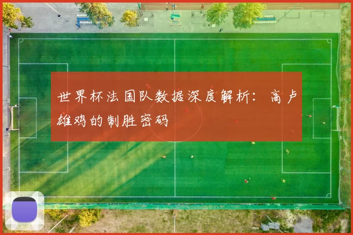 世界杯法国队数据深度解析:高卢雄鸡的制胜密码