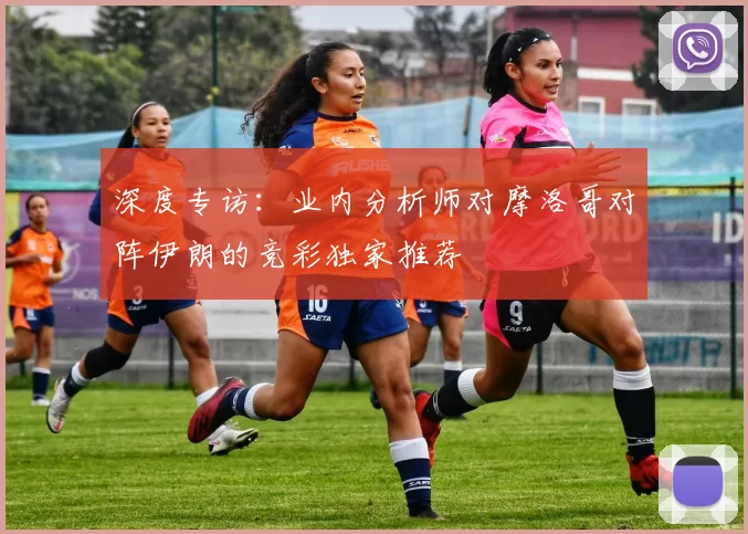 深度专访:业内分析师对摩洛哥对阵伊朗的竞彩独家推荐