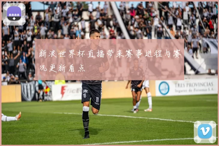 新浪世界杯直播带来赛事进程与赛况更新看点