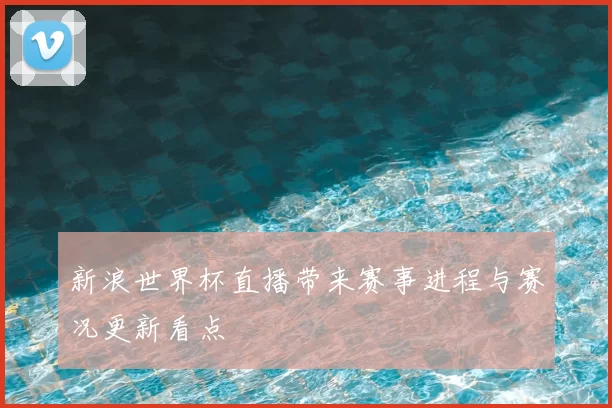 新浪世界杯直播带来赛事进程与赛况更新看点