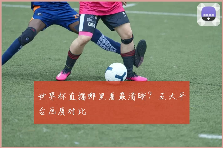 世界杯直播哪里看最清晰？五大平台画质对比